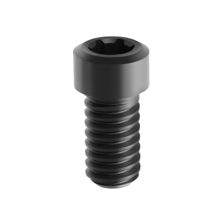 Visuel de la vis pour pilier multi DLC WP connectique similaire Branemark System de la marque LIKE Implant, une marque d'astem