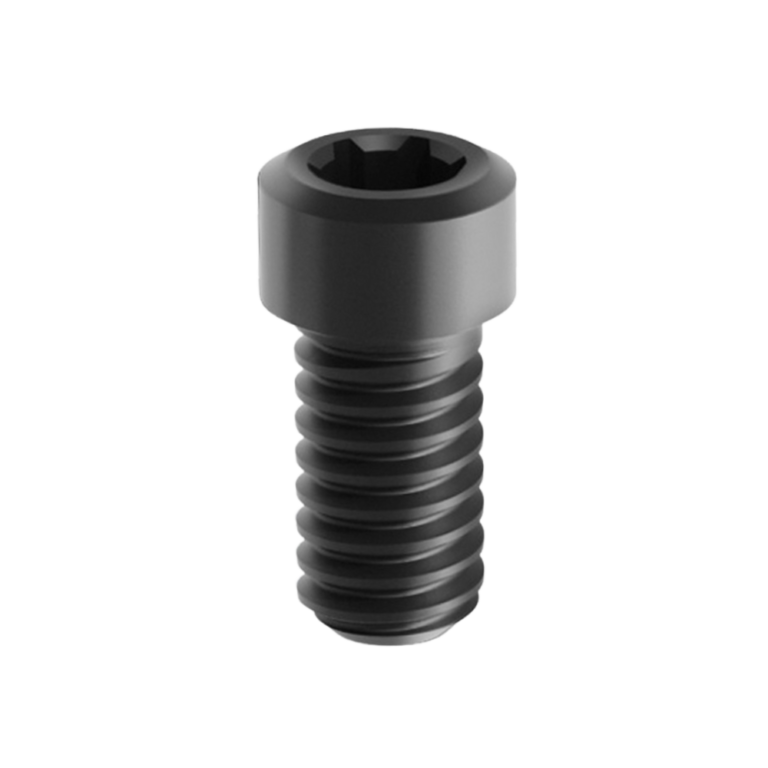 Visuel de la vis pour pilier multi DLC connectique similaire commun Nobel® de la marque LIKE Implant, une marque d'astem