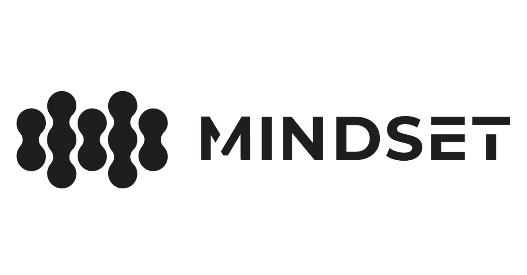 Le logo de la marque Mindset